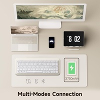 Clavier mécanique Akko YU01OEM, 3 broches/5 broches, touches interchangeables à chaud, clavier de jeu, touches transparentes, rétroéclairage RVB, 2,4 G//Filaires USB-C