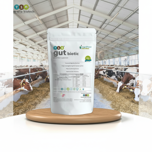 Additifs alimentaires pour bovins Probiotique naturel pour une meilleure digestion - Product Image 1