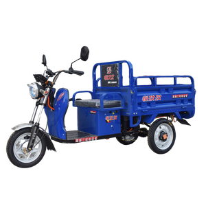 1.1m giá rẻ nhất hàng hóa ba bánh ba bánh Lai Hàng hóa ba bánh triciclo eléctrico để bán - Product Image 1