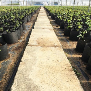 Sacs <span class=keywords><strong>de</strong></span> pépinière Non tissés biodégradables, sacs <span class=keywords><strong>de</strong></span> culture <span class=keywords><strong>de</strong></span> plantes, Pots <span class=keywords><strong>de</strong></span> semis en tissu, plantation bon marché, jardinage, <span class=keywords><strong>sac</strong></span> <span class=keywords><strong>de</strong></span> culture en feutre - Product Image 3