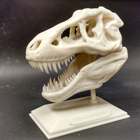 Fabricant de figurines de dinosaures en gros pour enfants, impression 3D personnalisée, prototypage / fabrication de modèles de dinosaures en petit volume