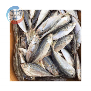 Chinesischer Export Gefrorene Ganze Makrele in Kartons Klasse A+ BQF IQF Hochwertige Proteinquelle - Product Image 4
