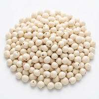 Bulbes de Fritillaria Cirrhosa Séchés de Haute Qualité (Chuan Bei Mu) pour l'Humidification Pulmonaire et le Soulagement de la Toux – Complément Herbal Sain