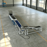 Sorteermachine voor levensmiddelen, duurzame sorteeroplossing voor aardappel, wortel, knoflook, nabewerking na de oogst