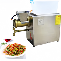 Machine extrudeuse de pâtes commerciale automatique pour la fabrication de nouilles, spaghetti, macaroni et nouilles de poisson pour usine alimentaire et restaurant