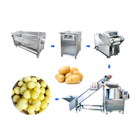 Machine voor het vormen van groenteballen van roestvrij staal, aardappel-, zoete aardappel- en taro-ballen, verwerkingslijn