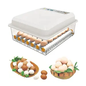 공장 가격 고급 작은 닭 계란 인큐베이터 계란 인큐베이터 기계