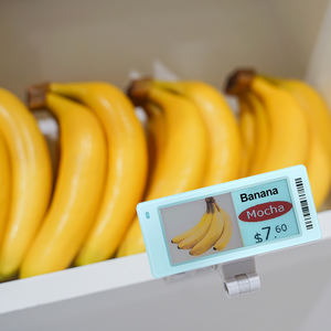 Stand buah pisang Esl 2.9 inci layar Tag harga elektronik cerdas Supermarket tampilan E tinta Esl tampilan Tag harga dengan sistem Eas - Product Image 1