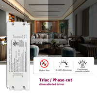 Controlador LED Triac Regulable a Prueba de Agua con Certificación ROHS CE, Voltaje Constante, Salida de 60W AC-DC, Fuente de Alimentación Electrónica