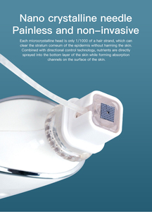 Dispositif d'implantation de nano-éclats d'eau ABS sûr pour l'hydratation et le rajeunissement de la peau du visage et du corps - Product Image 5