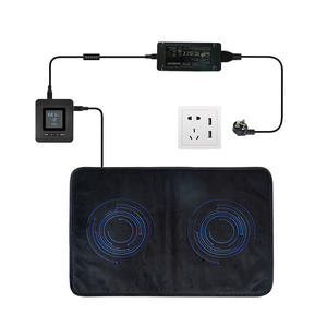 Terapia pulsada magnética elétrica do campo do sono da cura completa ajustável da frequência do pulso do equipamento da fisioterapia Matt - Product Image 1