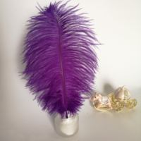 Usine en gros 30-35cm plume d'autruche Nature rose lilas violet plume d'autruche Hackle pour bricolage maison robe de soirée de mariage décor