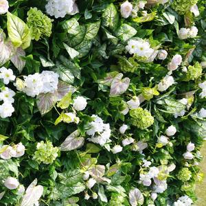 Custom 3D Cloth green Flower Wall Wedding <b>Artificial</b> Silk Rose Flower Wall Backdrop Decorative <b>Artificial</b> Flower Wall - Product Image 5