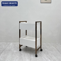 Chariot de spa professionnel, chariot de salon de beauté, chariot d'esthéticienne mobile avec 2 tiroirs, étagère ouverte, serrure et roulettes