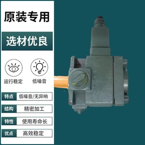 Bomba de Paletas Hidráulica Yinchuan Great Wall Serie YBX D, Flujo Variable, Alta Eficiencia, Funcionamiento Estable - Product Image 5