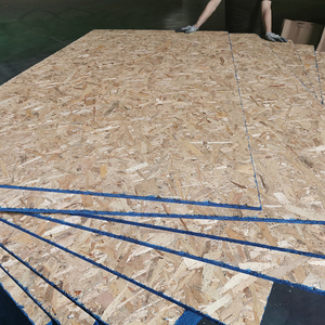 Panneau de bois <span class=keywords><strong>OSB1</strong></span>,OSB2,OSB3,OSB4, prix avec colle MDI - Product Image 1