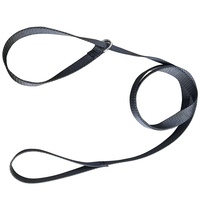 Laisse Martingale de Compétition Résistante à l'Usure pour l'Entraînement des Chiens de Chasse, des Greyhounds, des Pitbulls et des Lapins – Vente en Gros