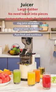 Tự động Báo Chí lạnh máy ép trái cây hộ gia đình bột tách máy cho trái cây nước ép rau và sữa đậu nành - Product Image 6