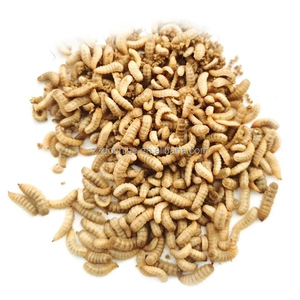 Black Soldier Fly protein khai thác và tách dầu ấu trùng thực vật Larva Bột chế biến dòng ấu trùng bữa ăn Máy làm - Product Image 5