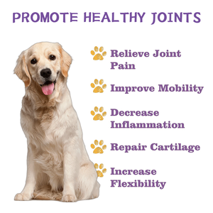 Tabletas Masticables Blandas con Alto Contenido de Proteínas para Mascotas, Aumentan el Peso, Fortalecen el Sistema Inmunológico, Apoyan las Articulaciones, Vitaminas, Calcio, Absorción Rápida - Product Image 5