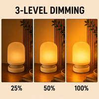 Veilleuse LED à piles ABS 1W avec contrôle tactile, lumière ambrée 1600K, intensité réglable sur 3 niveaux, pour chambre d'enfant, bébé, chambre à coucher