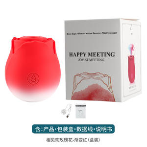 Vibrador Magnético Sucção Rosa 2025 10 Funções, Brinquedos Sexuais, Massageador de Clitóris e Seios, Vibrador Rosa - Product Image 6