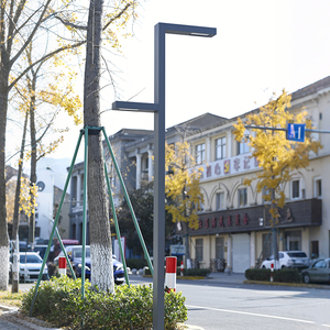 Luz LED de Paisagem de Alto Pólo para Exterior, Estilo Europeu, Iluminação à Prova d'Água para Caminhos em Cidades Inteligentes - Product Image 6