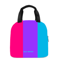 Sac à lunch arc-en-ciel Agender pour femmes et hommes, sac fourre-tout réutilisable, sacs à lunch isothermes pour le travail, le pique-nique, l'école ou les voyages
