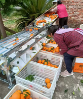 Fruit sorteermachine