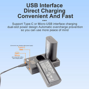 Vente chaude Pana Sonic <span class=keywords><strong>LUMIX</strong></span> <span class=keywords><strong>chargeur</strong></span> de batterie DMW-BLJ31 pour DC-S1R DC-S1M DC-S1H caméras lumière électrique OTP OVP Protection - Product Image 2