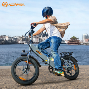 Vélo électrique pliable HillMiles Mile 2 en stock UE, 250W, batterie 13Ah, pneus tout-terrain 20x3.0, pour livreurs - Product Image 1
