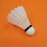 Volants de badminton en plumes de canard et d'oie blancs, très résistants, à prix abordable, les plus durables, en promotion