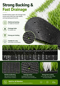 Uni Semillas <span class=keywords><strong>de</strong></span> Hierba <span class=keywords><strong>de</strong></span> Fútbol Natural <span class=keywords><strong>DE</strong></span> LA Mejor Calidad Hierba <span class=keywords><strong>de</strong></span> Césped <span class=keywords><strong>para</strong></span> Fútbol <span class=keywords><strong>para</strong></span> <span class=keywords><strong>Cancha</strong></span> <span class=keywords><strong>de</strong></span> Fútbol Césped Artificial <span class=keywords><strong>para</strong></span> <span class=keywords><strong>Cancha</strong></span> Deportiva - Product Image 3