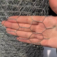 Maille hexagonale en fil de fer plastifié PVC personnalisée pour volailles, cages à singes, cages à poulets, filets à homards, filets de pêche, cages