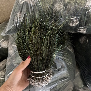 Piume di Herl infilate di <span class=keywords><strong>pavone</strong></span> verde iridescente naturale scintillante per la decorazione dei costumi materiali per la costruzione di mosche - Product Image 2