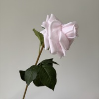 CM-DC057 Op voorraad Hoge Kwaliteit Lange Steel Roos Nude Roze Roos Real Touch Bloemen Voor Huis Bruiloft Feest Decoratie