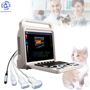 Gelt Medical portátil veterinario 3D <span class=keywords><strong>4d</strong></span> ultrasonido digital portátil color Doppler Ultrasonido - Product Image 1