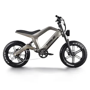 Aluminum Alloy frame off-road XC bike all-terrain bicycle 48V20AH Lithium battery snow bike