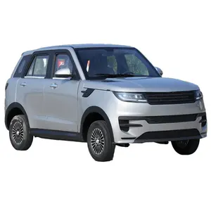 High Quality Range Rover 2024New Chinese Electric Car Small Off-road Car Four Wheel Lead Acid Battery New Energy Car
