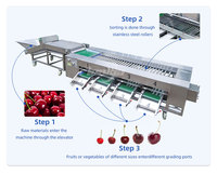 Lonkia Fruit & Groente Sorteermachine Avocado Kersen Sorteermachine Groente Sorteermachine