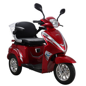 Vélo électrique tricycle <span class=keywords><strong>cargo</strong></span> Vista-2 1000W avec trois roues pour personnes handicapées - Product Image 4