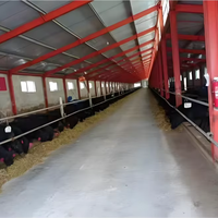Estructura de Acero Prefabricada Ligera y de Bajo Costo para Granjas, Construcción de Establos para Caballos, Soldadura y Corte Rápidos