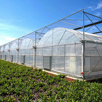 40X20 Local Vanille Horticole Solaire Photovoltaïque Ferme Chauffage Tuyaux d'Eau Jardin Serre Cadre Avec Porte