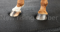 Matelas en caoutchouc imperméable neuf pour l'aménagement des boxes à chevaux, lit en mousse de caoutchouc pour l'écurie