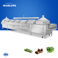 Equipo de Vaporización de Pudding Zongzi con Cinta Transportadora, Máquina para Estofar Pescado, Trigo, Mijo y Otros Alimentos, Línea de Cocina Herbal de Grado Alimenticio con Té Verde