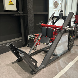 Macchina a Carico Variabile con Pulegge Personalizzabile per Uso Domestico, Spedizione Gratuita, Attrezzatura Commerciale per Palestre, Nuovo Design Premium Minolta, Vendita all'Ingrosso - Product Image 3