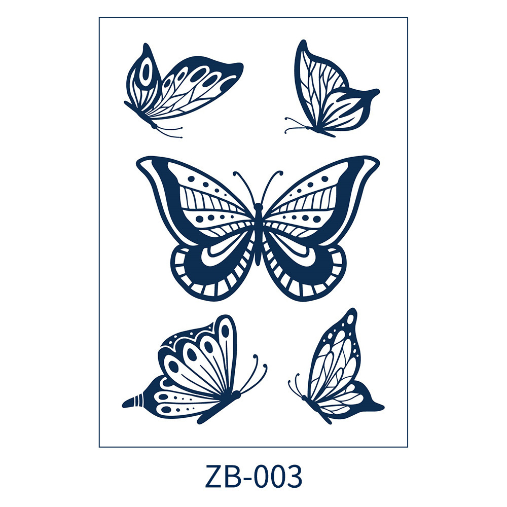 ZB-003
