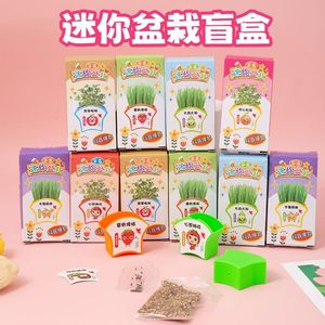 Mini Kit de Plantas en Maceta, Caja Sorpresa, Kit Educativo para Niños, Observación de Germinación de Semillas, Manualidades, Regalo para Tareas Escolares - Product Image 1