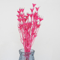 Groothandel Natuurlijke Decoratieve Droge Achthoekige Bloemenplanten Behouden Echte Gedroogde Bloemen Bulk