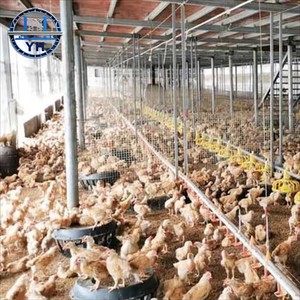 Gallinero Prefabricado Personalizado, Resistente a Terremotos, Establo para Ganado, Refugio para Animales, Estructura Metálica, Jaula de Acero para Aves de Corral - Product Image 2